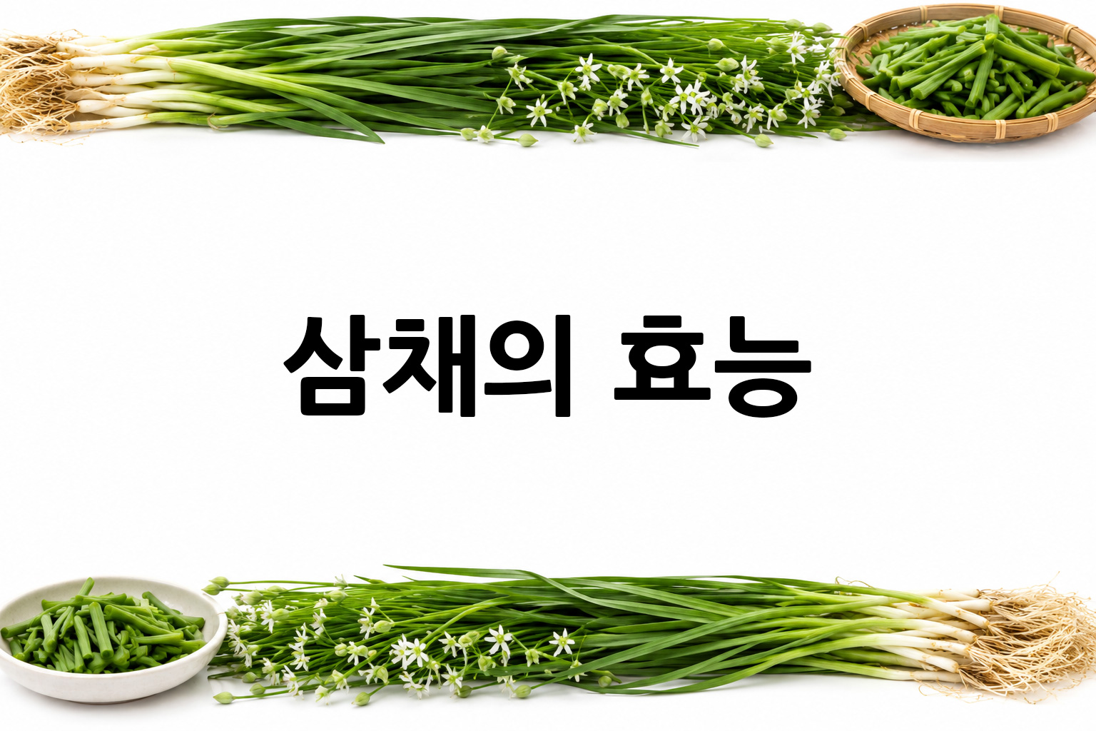흰 배경의 삼채 상·하단 띠 이미지, 가운데 텍스트 공간 비움