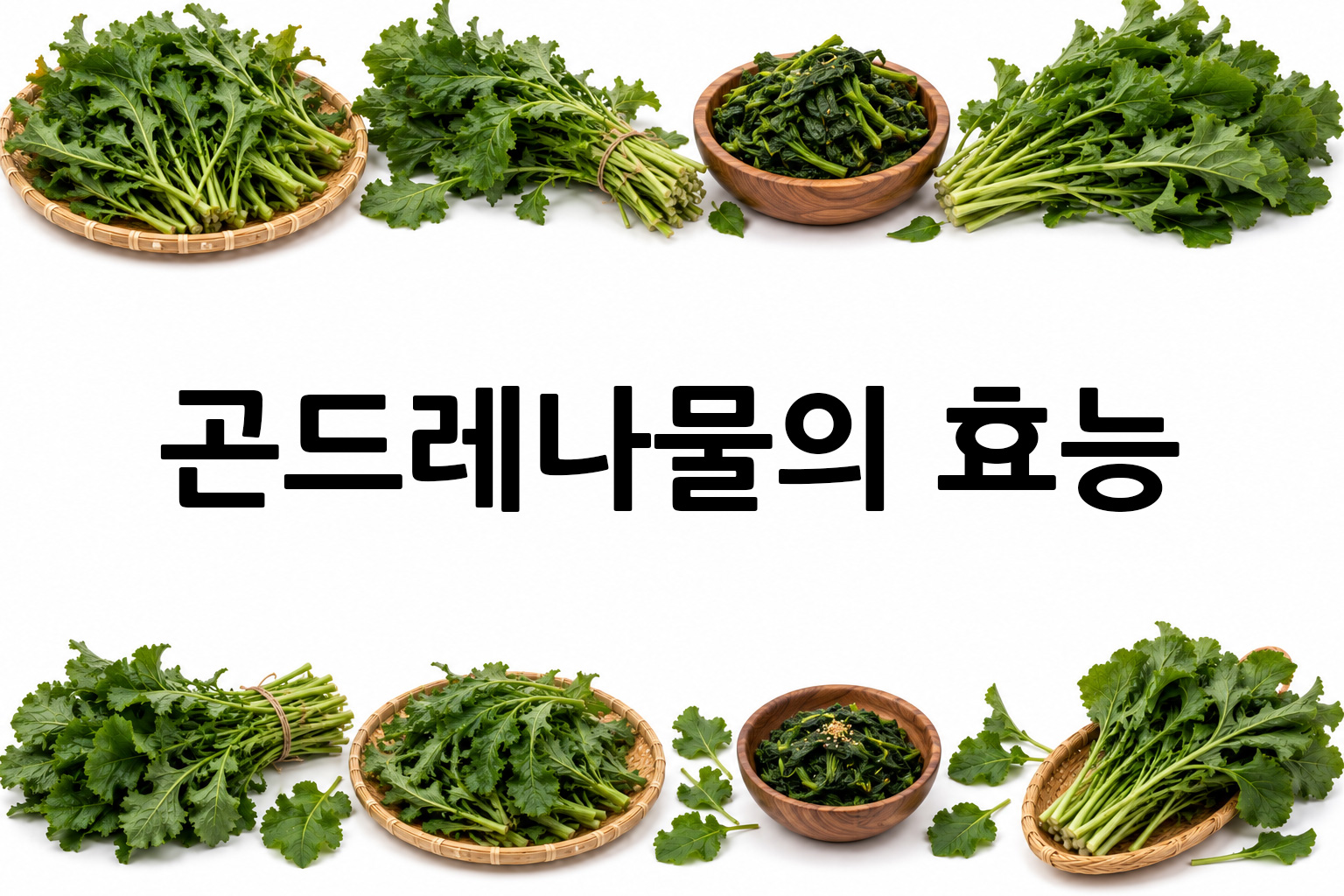 흰 배경의 곤드레나물 상·하단 띠 이미지, 가운데 텍스트 공간 비움