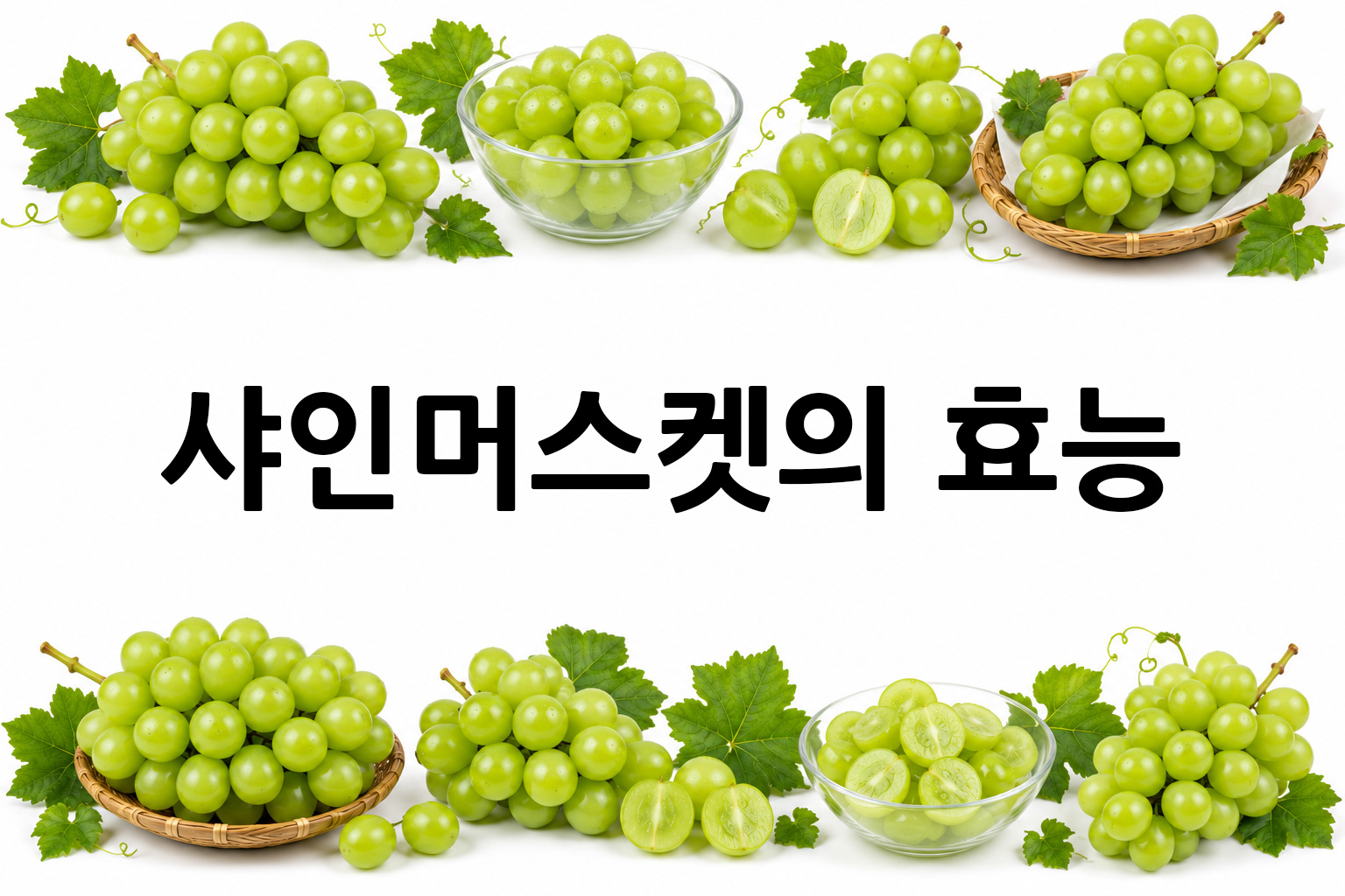 흰 배경의 샤인머스켓 상·하단 띠 이미지, 가운데 텍스트 공간 비움