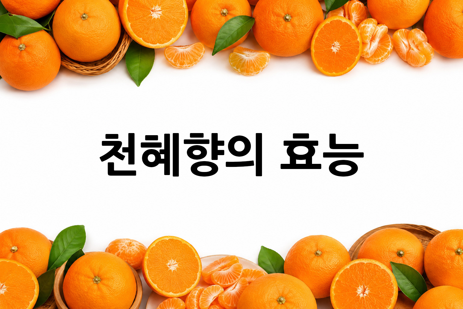 흰 배경의 천혜향 상·하단 띠 이미지, 가운데 텍스트 공간 비움