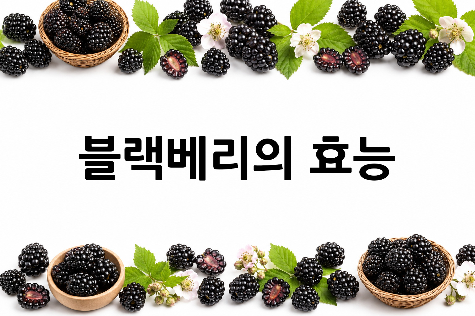 흰 배경의 블랙베리 상·하단 띠 이미지, 가운데 텍스트 공간 비움