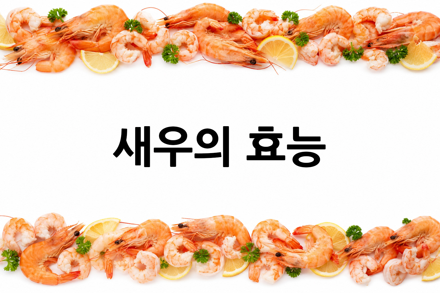 흰 배경의 새우 상·하단 띠 이미지, 가운데 텍스트 공간 비움