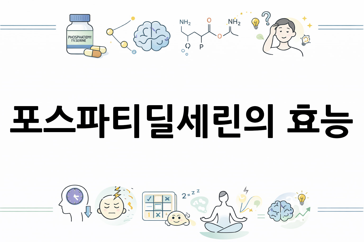 흰 배경의 포스파티딜세린 관련 미니멀 벡터 아이콘 이미지, 중앙 텍스트 공간 비움