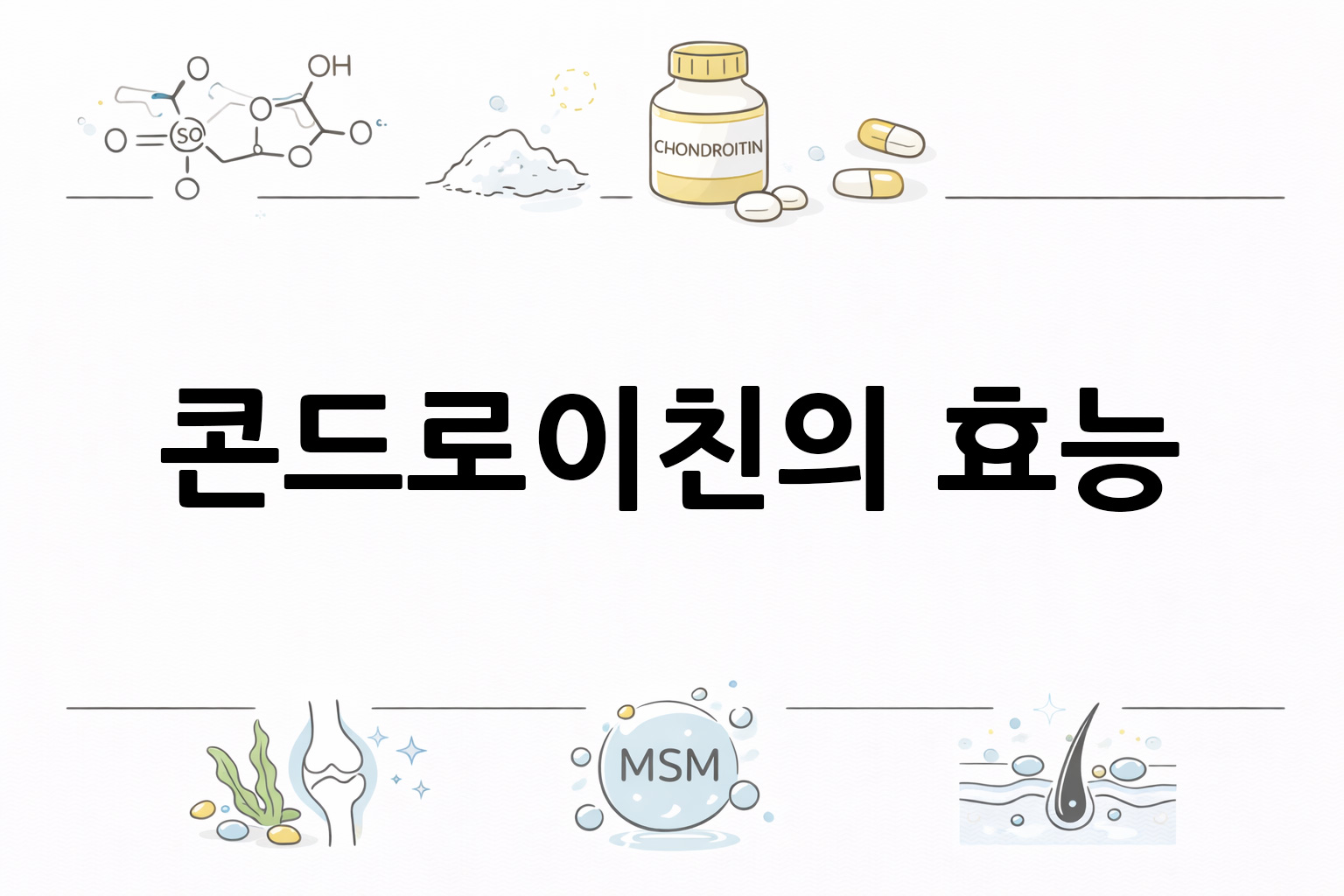 흰 배경의 콘드로이친 관련 미니멀 벡터 아이콘 이미지, 중앙 텍스트 공간 비움