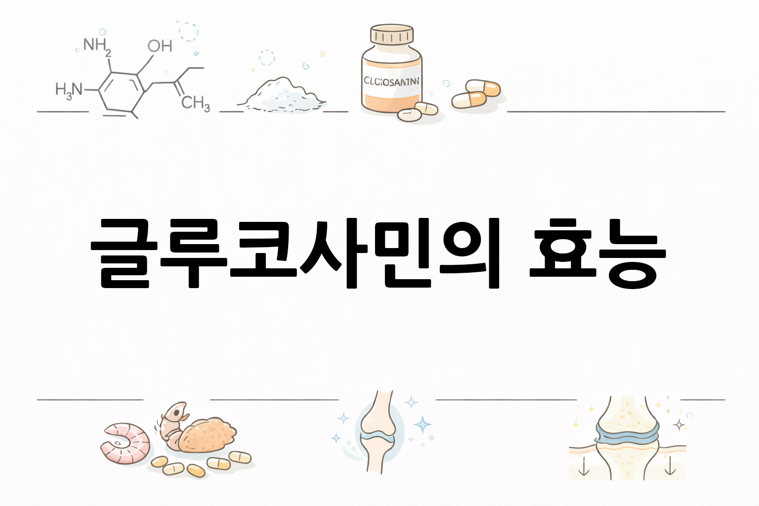 흰 배경의 글루코사민 관련 미니멀 벡터 아이콘 이미지, 중앙 텍스트 공간 비움