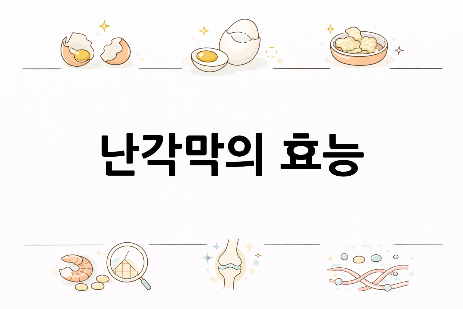 흰 배경의 난각막 관련 미니멀 벡터 아이콘 이미지, 중앙 텍스트 공간 비움