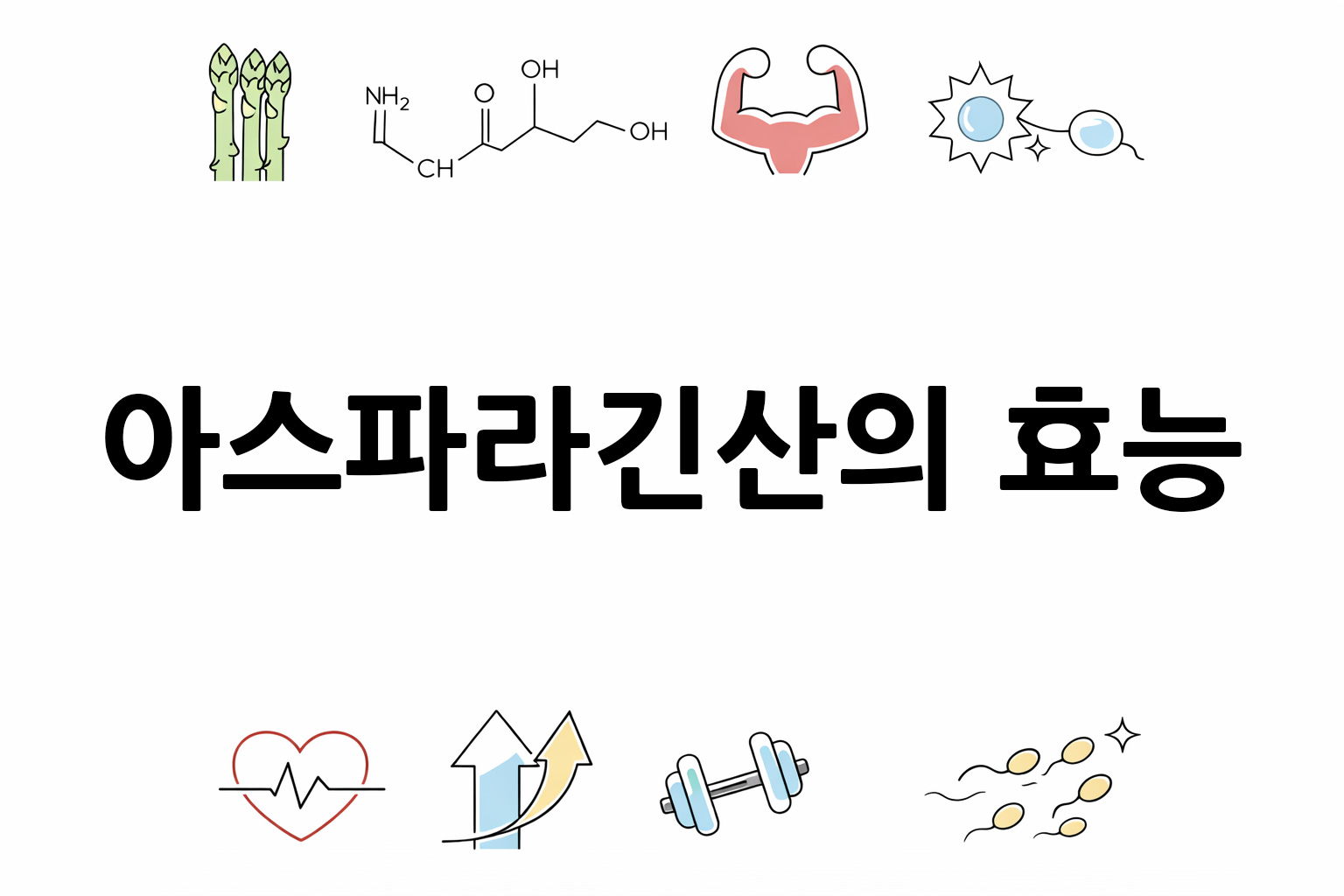 흰 배경의 아스파라긴산 관련 미니멀 벡터 아이콘 이미지, 중앙 텍스트 공간 비움