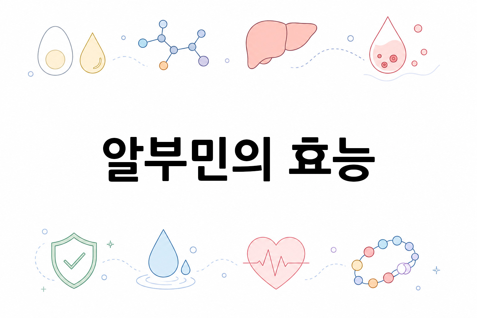 흰 배경의 알부민 관련 미니멀 벡터 아이콘 이미지, 중앙 텍스트 공간 비움