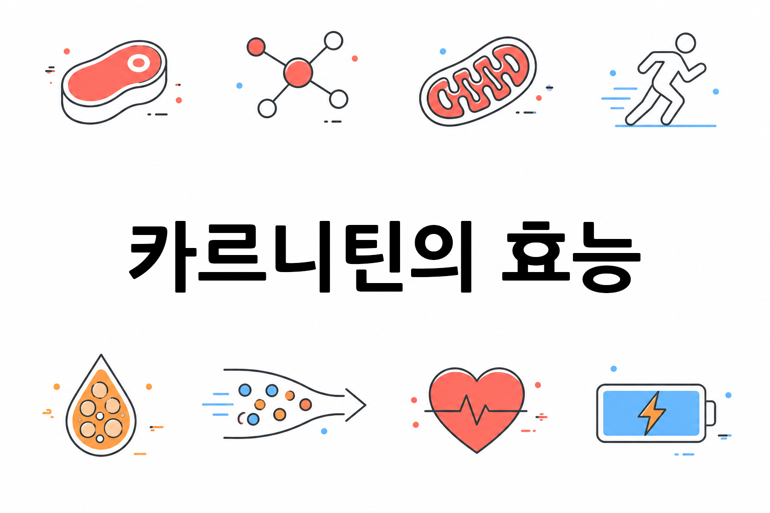 흰 배경의 카르니틴 관련 미니멀 벡터 아이콘 이미지, 중앙 텍스트 공간 비움