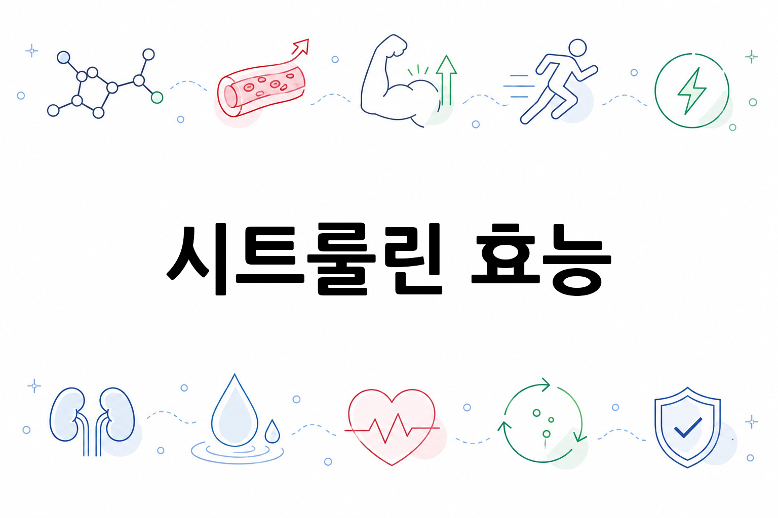 흰 배경의 시트룰린 관련 미니멀 벡터 아이콘 이미지, 중앙 텍스트 공간 비움