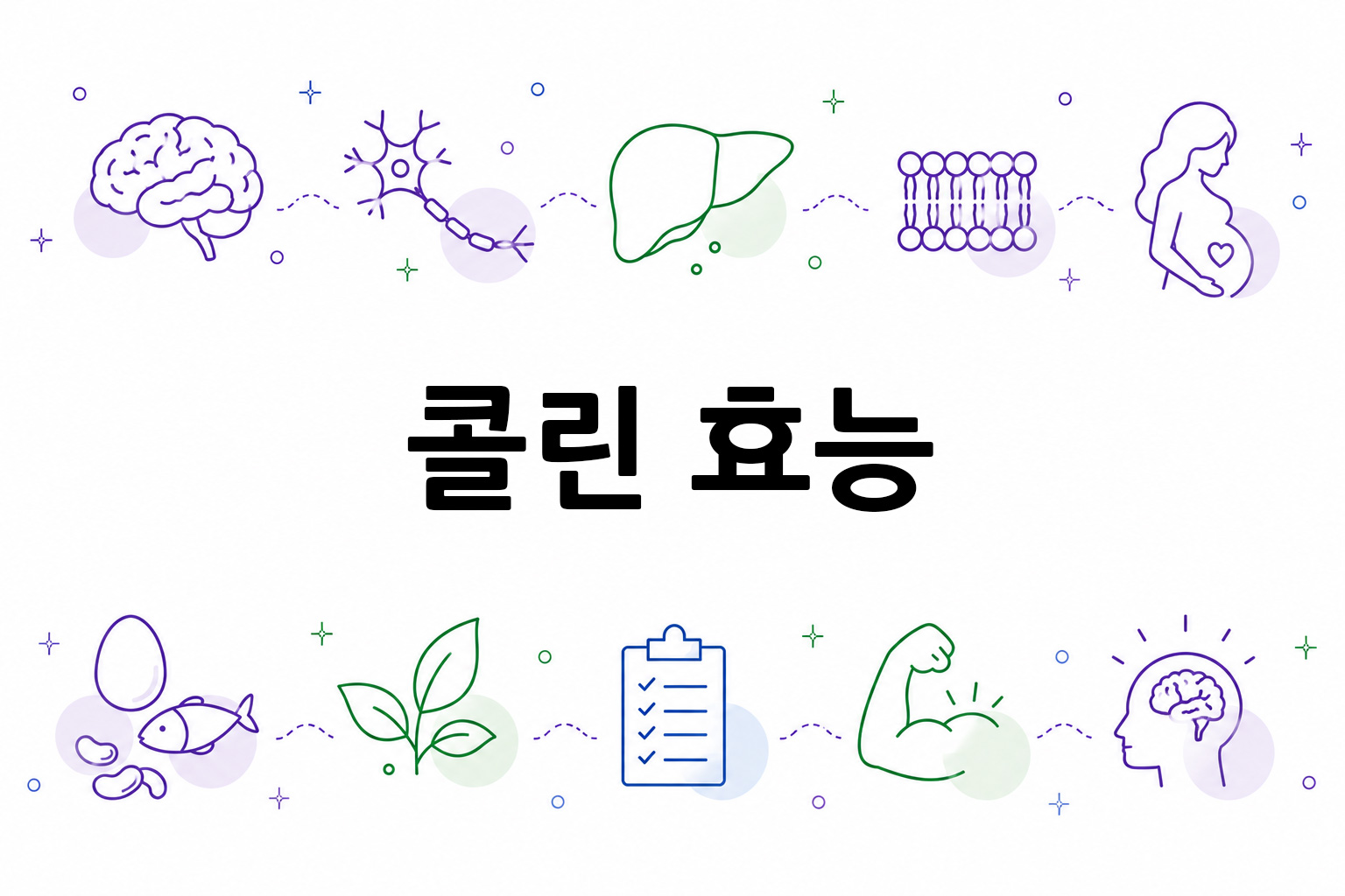 흰 배경의 콜린 관련 미니멀 벡터 아이콘 이미지, 중앙 텍스트 공간 비움